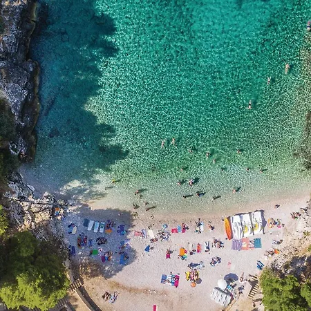 Amazing In With Wifi * Pula
